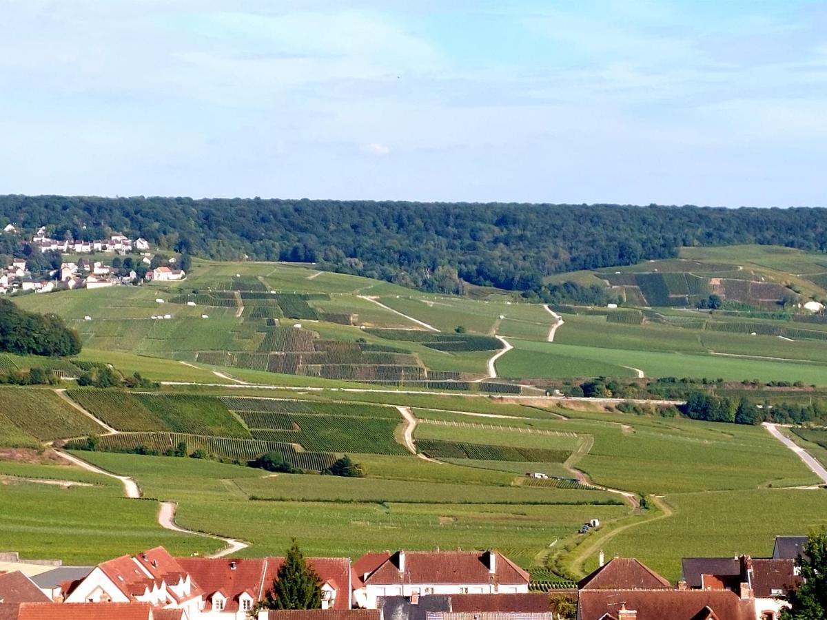 Epernay Capital De Champagne Apartman Kültér fotó
